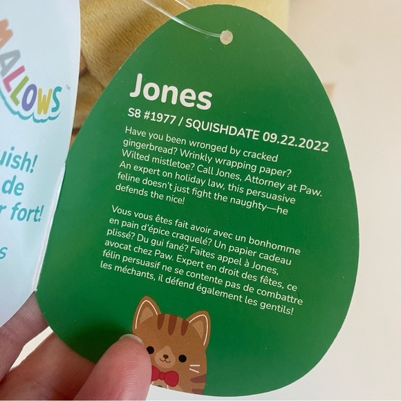 Squishmallows Jones the Gingerbread Cat 8” Christmas plush NWT - Picture 7 of 11